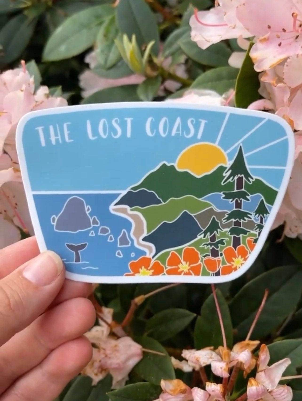 The Lost Coast Sticker