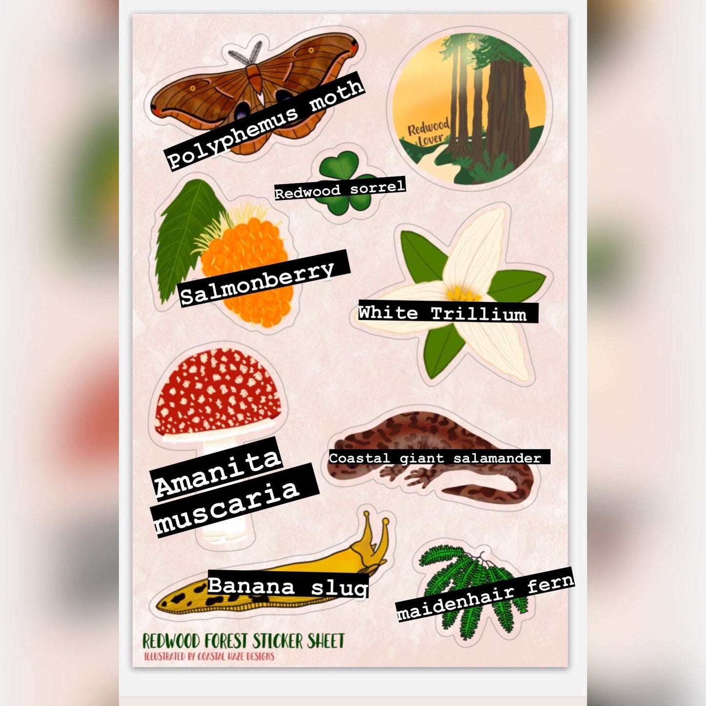 Redwood Forest Sticker Sheet