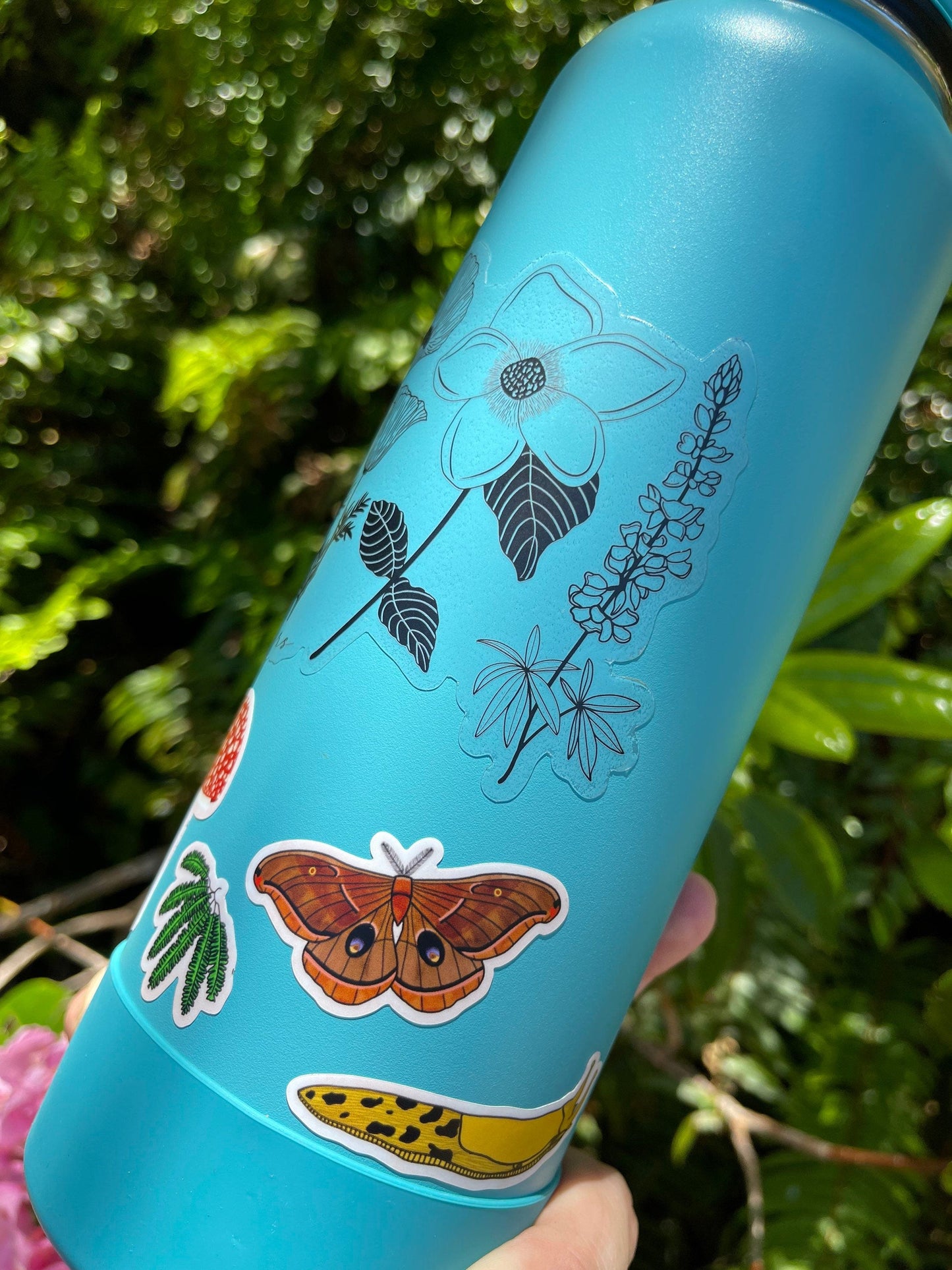 Redwood Forest Sticker Sheet