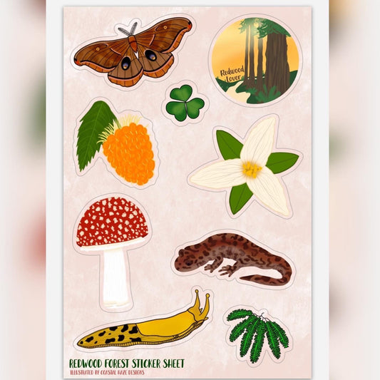 Redwood Forest Sticker Sheet