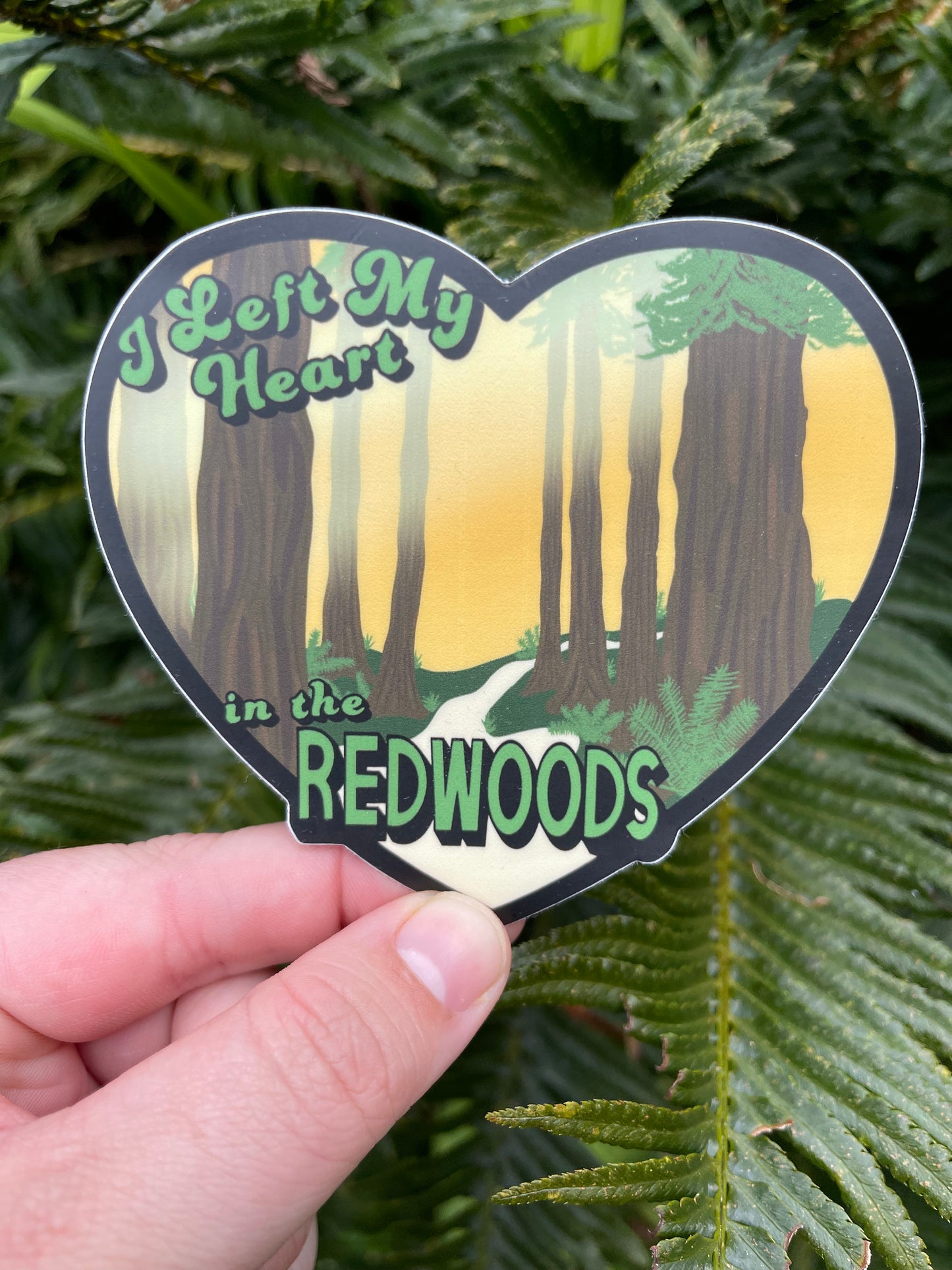 I left My Heart in the Redwoods