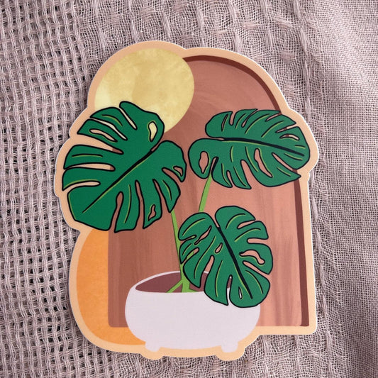 Boho Monstera